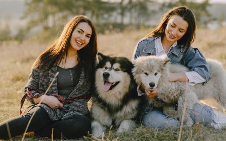 Balancing Independence and Togetherness in a Relationship