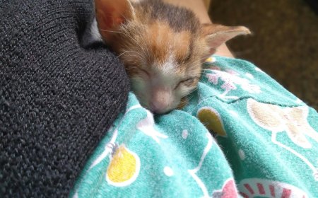 Crypto in 2025: What’s Changing and What You Need to Know