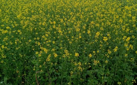 2025 Trends: What Small Businesses Need to Know Now