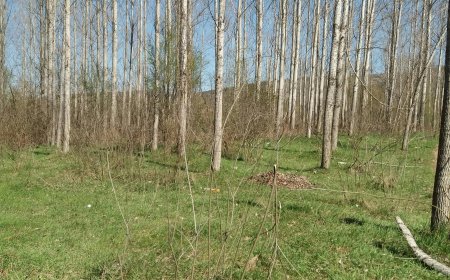 Setting Healthy Boundaries in Relationships