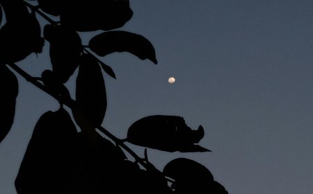 Smart Kitchen Gadgets That Make Cooking Easier in 2025