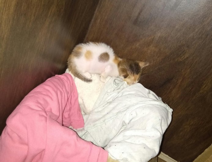 Is Bitcoin Still a Good Investment in 2025?