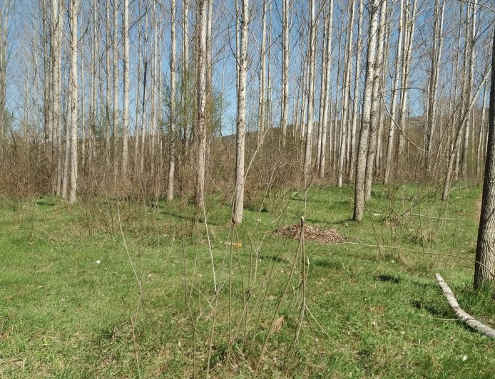 Setting Healthy Boundaries in Relationships