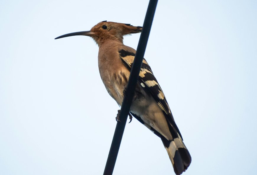 The Rise of AI-Generated Content: What You Need to Know