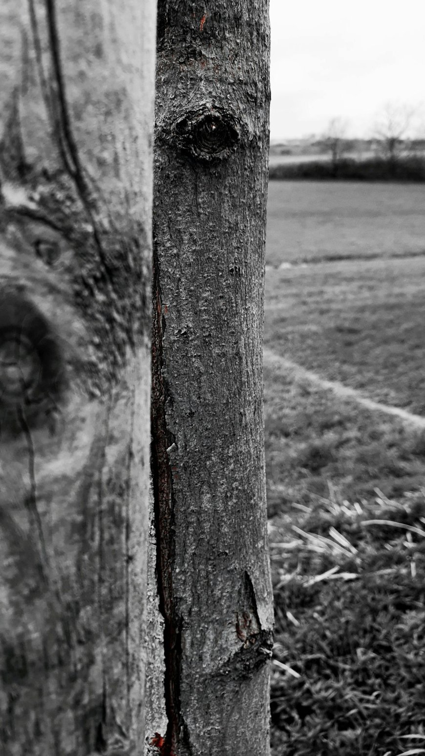 How to Use AI to Grow Your Online Business in 2025