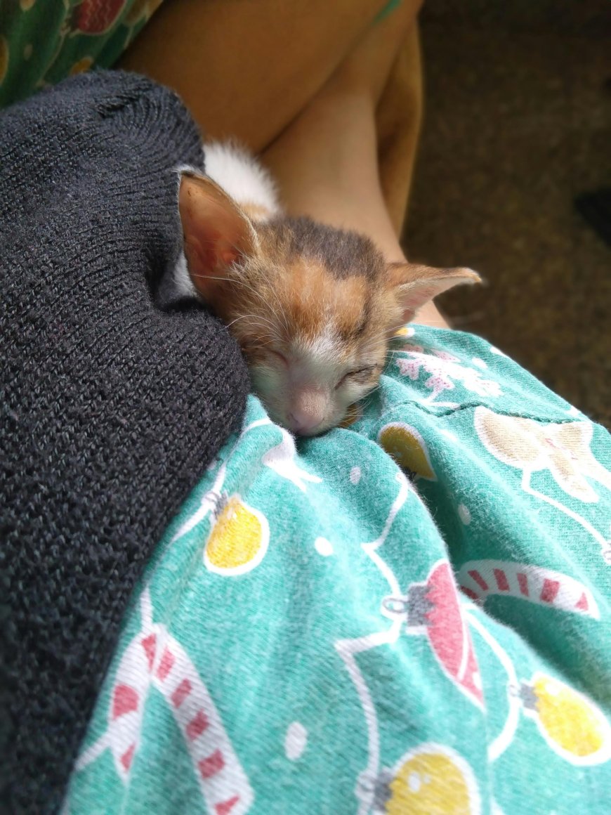 Crypto in 2025: What’s Changing and What You Need to Know